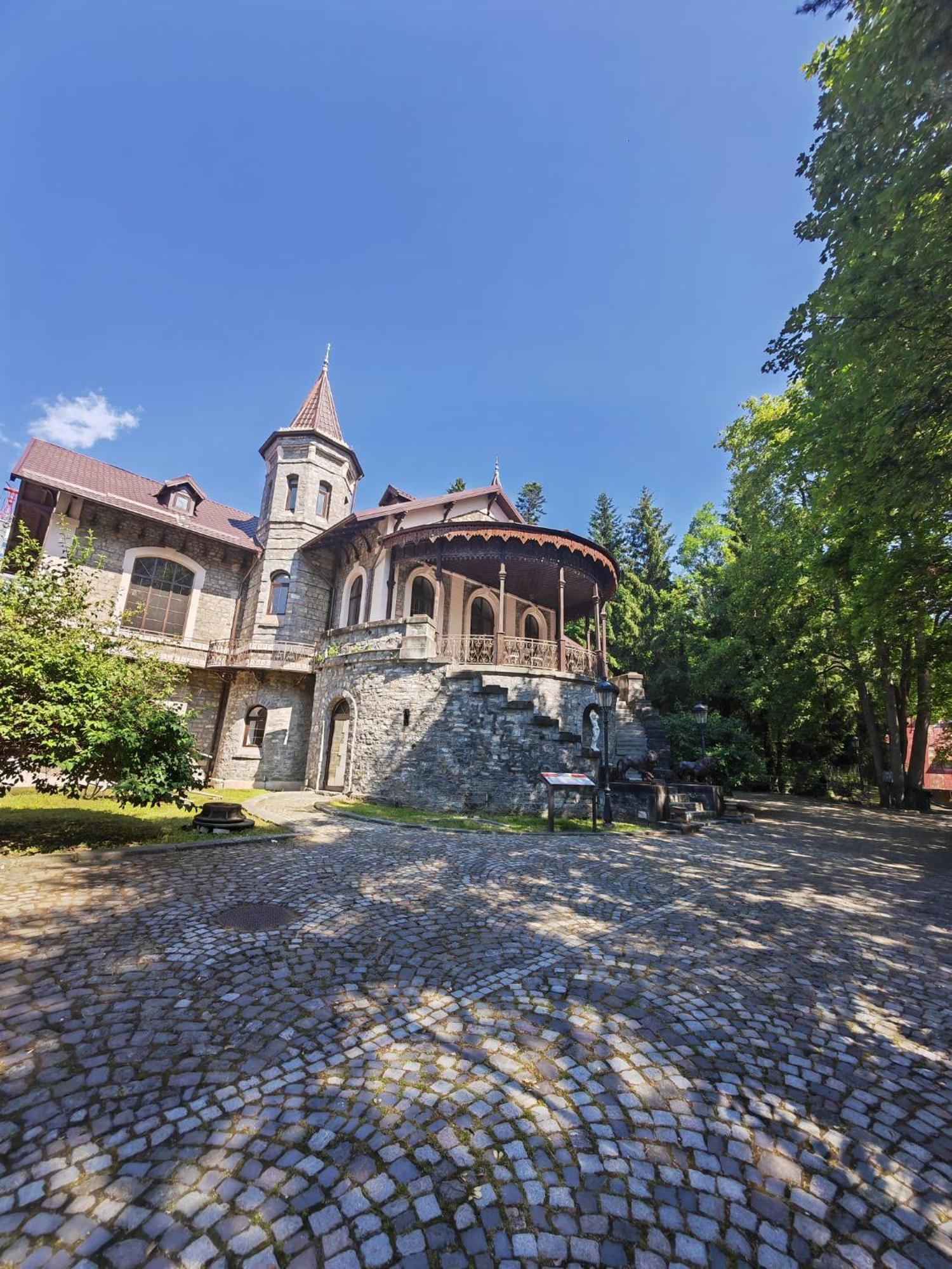 Готель Castelul Stirbey Сіная Екстер'єр фото